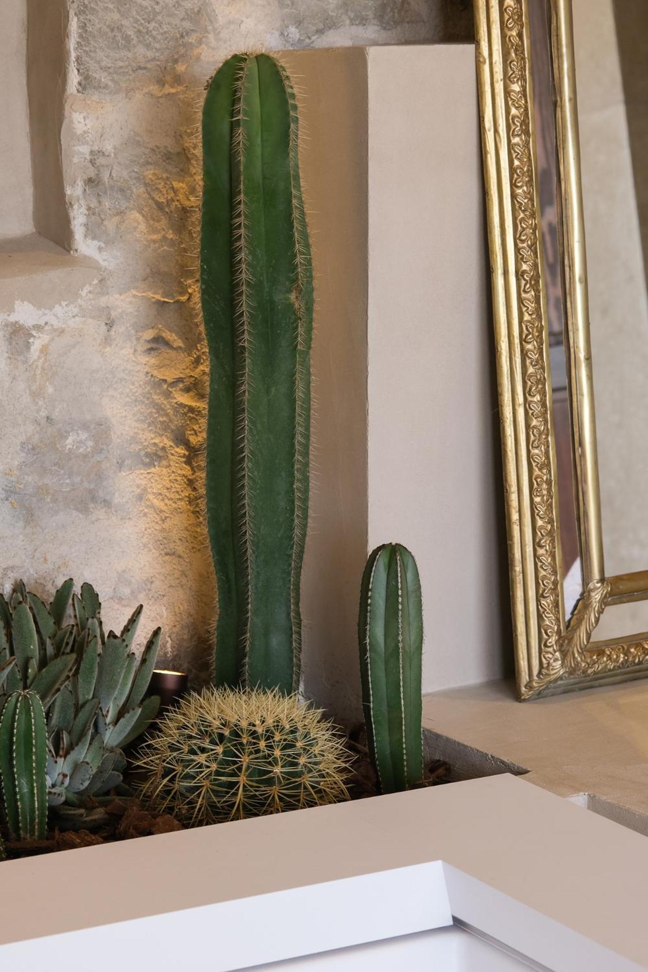 L'Abbaye Hotel La Colle-sur-Loup Eksteriør bilde